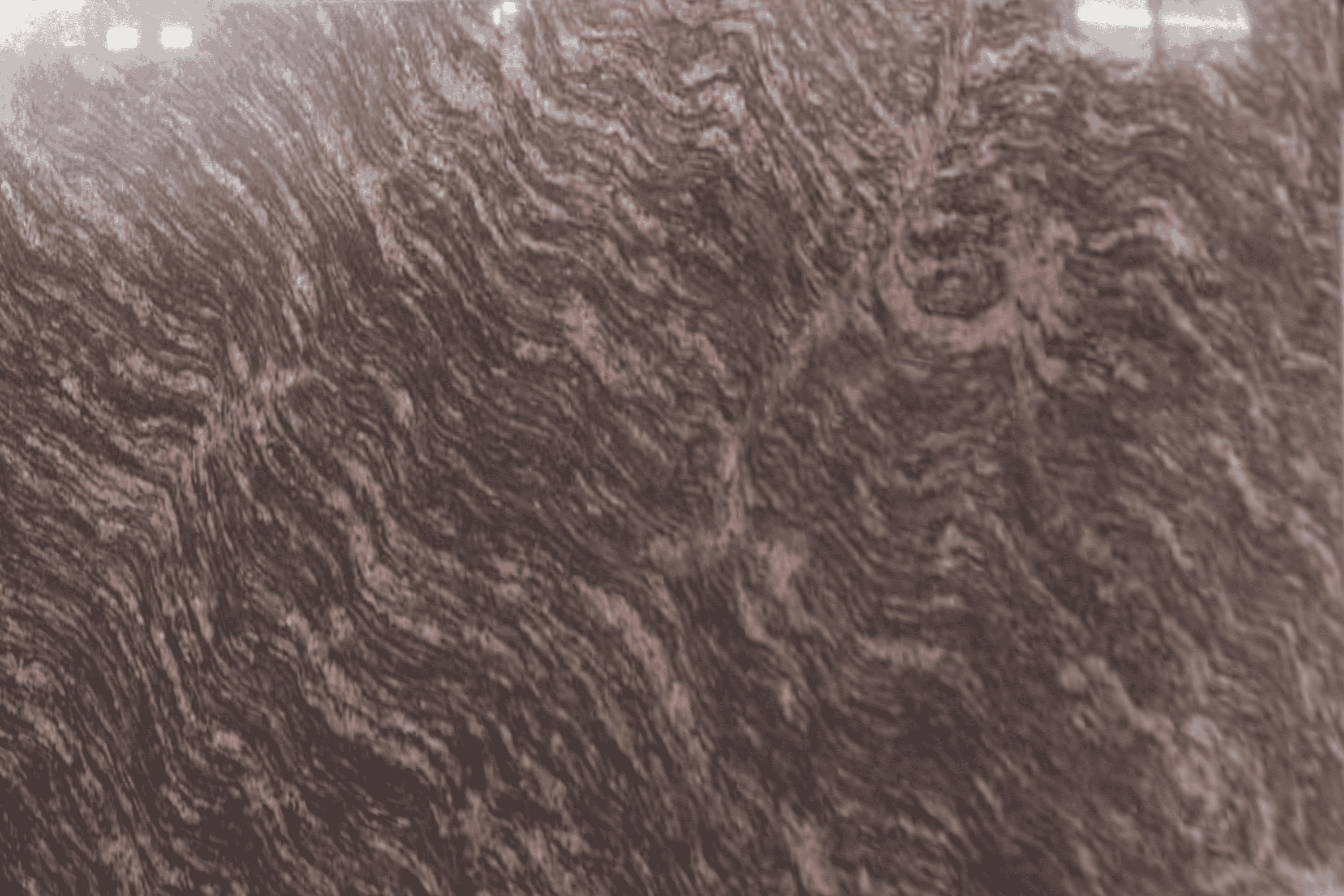 Signature Brown